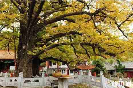 河南有哪些寺庙免费