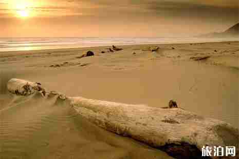 三亚亚龙湾交通攻略 亚龙湾游玩攻略 三亚亚龙湾交通攻略 亚龙湾游玩攻略