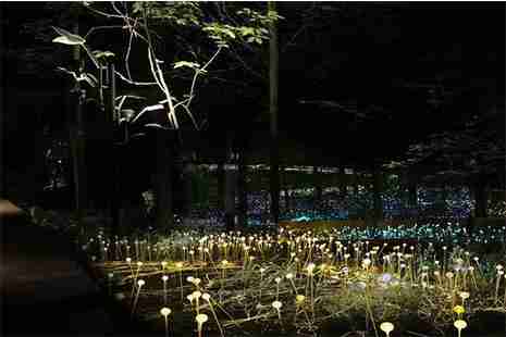 2018万州灯光秀时间是多少 时间+地点+门票 附灯光展示鸟瞰图 2018万州灯光秀时间是多少 时间+地点+门票 附灯光展示鸟瞰图