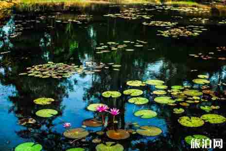 柬埔寨安全嗎2018 柬埔寨安全問題整理