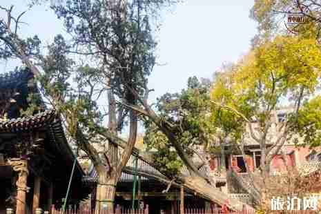 太原晋祠旅游攻略 太原晋祠旅游攻略