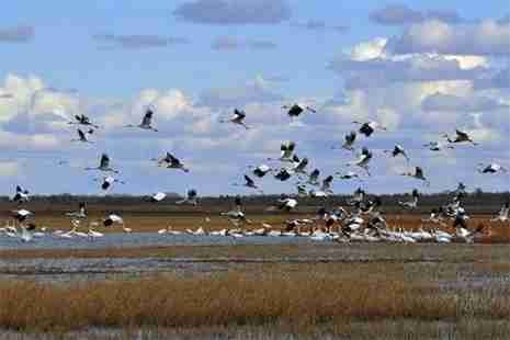 獾子洞湿地什么时候是最佳的观鸟季节