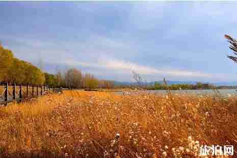 野鴨湖濕地公園門票+在哪里 野鴨湖濕地公園游玩攻略 野鴨湖濕地公園門票+在哪里 野鴨湖濕地公園游玩攻略