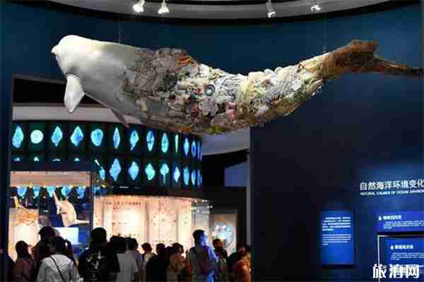 去國家海洋博物館怎么停車