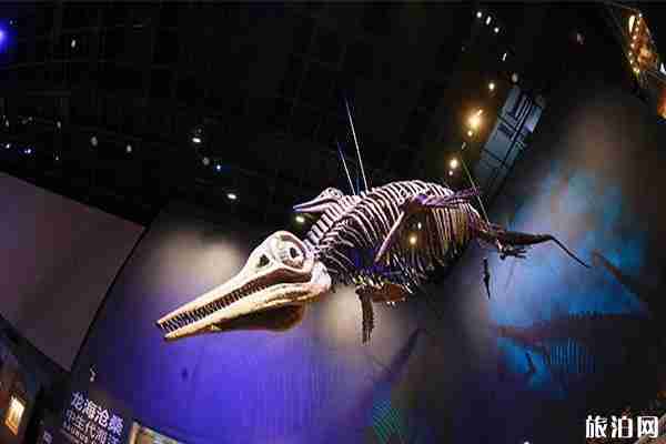 天津國家海洋博物館怎么去 什么東西不能帶 天津國家海洋博物館怎么去 什么東西不能帶