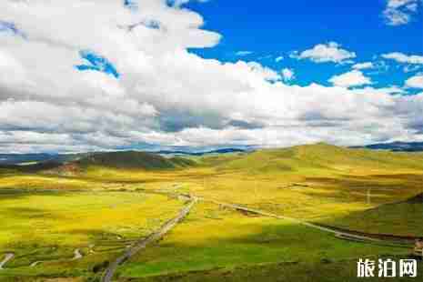紅原景點門票價格+交通