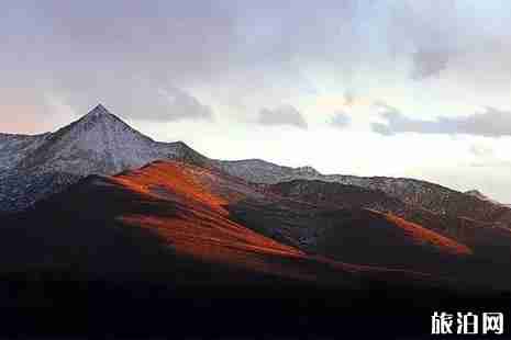 紅原景點門票價格+交通