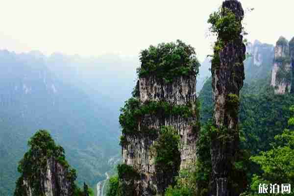 宜昌市區到柴埠溪大峽谷怎么走 花多少時間+怎么玩