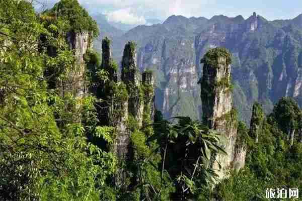 宜昌市區到柴埠溪大峽谷怎么走 花多少時間+怎么玩