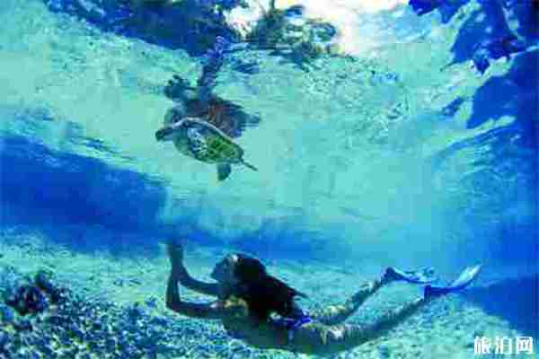 帕勞旅游交通指南 帕勞旅游交通指南