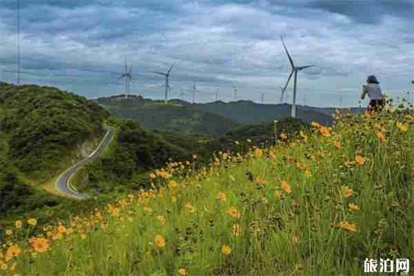 寧波橫溪白巖山風車公路怎么去 地址+交通