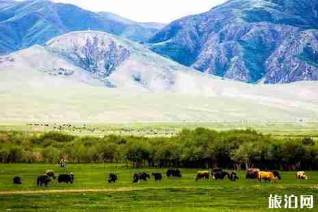 若爾蓋旅游景點門票多少錢+交通 若爾蓋旅游景點門票多少錢+交通