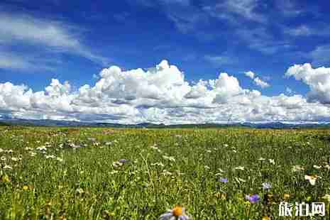 若爾蓋旅游景點門票多少錢+交通 若爾蓋旅游景點門票多少錢+交通