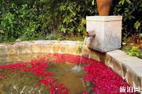 上海溫泉浴場推薦