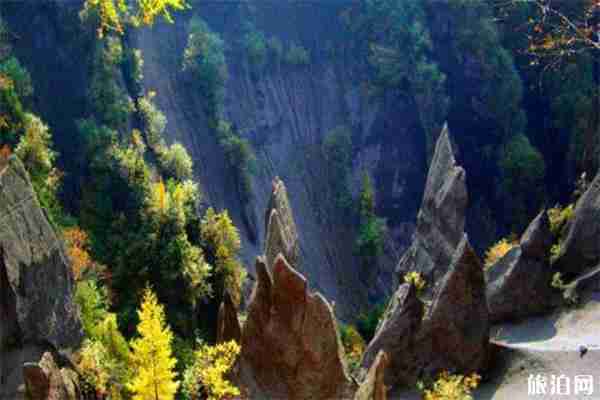 7月1日起長白山北景區交通限行信息詳情 7月1日起長白山北景區交通限行信息詳情