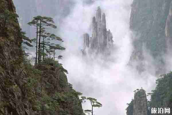 2019廬山暑期交通管制時間+路段