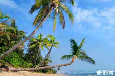 三亞哪個灣的沙灘最好 三亞哪個灣的沙灘最好