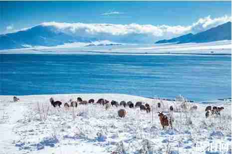 新疆冬季旅游景點推薦