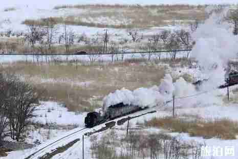 冬季去北海道看雪地點推薦