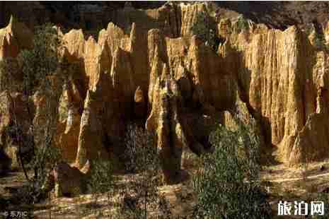 云南大理南澗縣旅游攻略(大理南澗無量山櫻花谷) 云南大理南澗縣旅游攻略(大理南澗無量山櫻花谷)