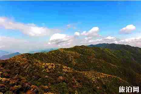 云南大理南澗縣旅游攻略(大理南澗無量山櫻花谷) 云南大理南澗縣旅游攻略(大理南澗無量山櫻花谷)