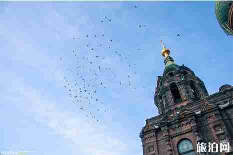 2019哈爾濱端午節交通管制+公交調整信息