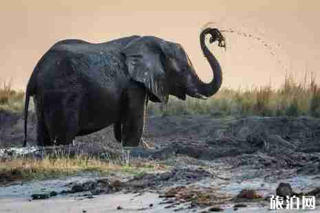 博茨瓦納旅游注意事項 博茨瓦納旅游注意事項