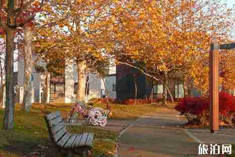 日本旅游攻略最新版