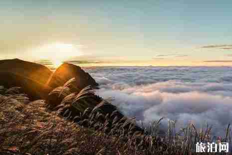 2018爆紅的網紅景點 你去過哪些