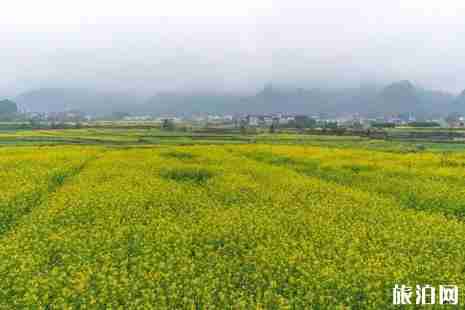 遼寧人到貴州免門票 冬天貴州哪里適合旅游