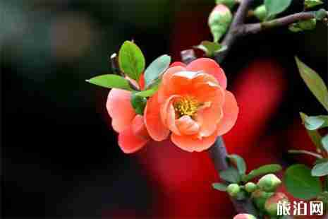 元大都城垣遗址公园怎么坐车 元大都城垣遗址公园怎么坐车