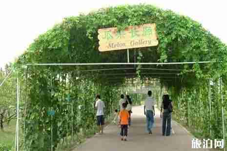 西山島旅游攻略