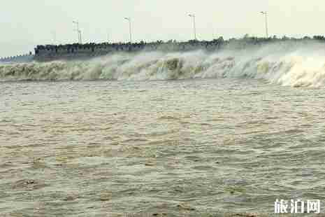 錢塘江大潮觀潮地點+時間 錢塘江大潮觀潮地點+時間
