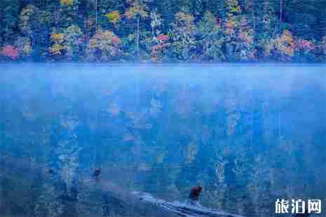 成都到九龍縣伍須海 交通+景點(diǎn)+食宿