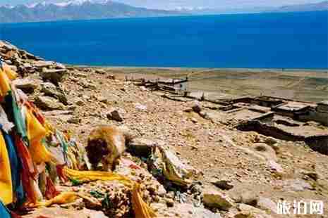 西藏那曲地區景點排名