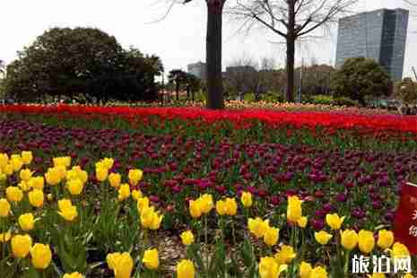 大宁公园停车场收费 附停车攻略 大宁公园停车场收费 附停车攻略