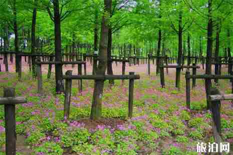 大宁公园停车场收费 附停车攻略 大宁公园停车场收费 附停车攻略