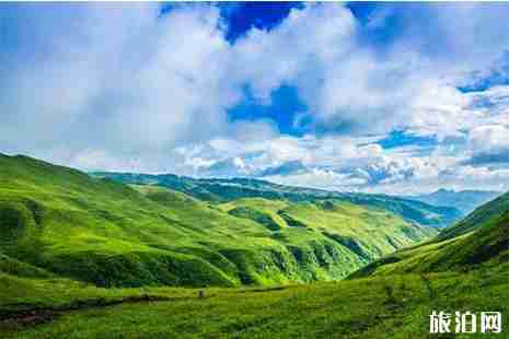 2019乌蒙大草原景区停车信息+交通管制 2019乌蒙大草原景区停车信息+交通管制