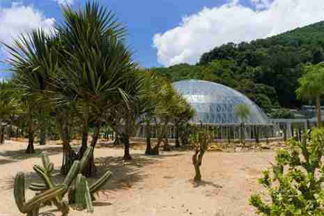 2019仙湖植物園預約出行最新變化 附仙湖植物園預約全攻略