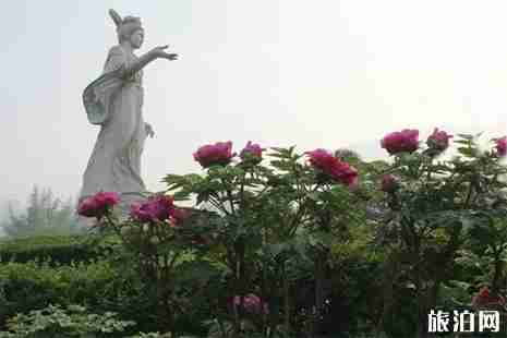 2019王城公园停车攻略