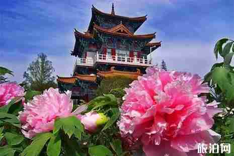 2019王城公园停车攻略