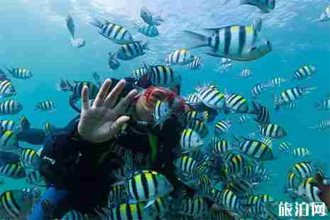 海南萬寧海島海灘介紹 海南萬寧海島海灘介紹