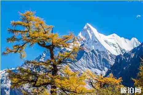 冬天可以去稻城亞丁嗎 冬天的稻城亞丁怎么樣