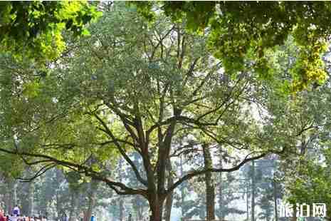 廈門園林植物園游玩攻略