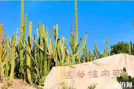 廈門園林植物園游玩攻略