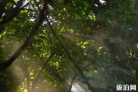 廈門園林植物園游玩攻略