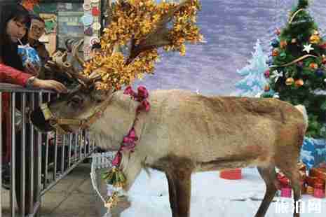 2018西安華夏文旅海洋公園圣誕節活動