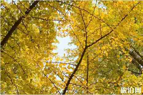 蘇州一分錢坐公交怎么操作 蘇州必去的旅游景點