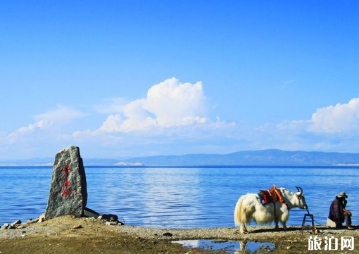 如何去青海湖 青海湖門票多少錢2019