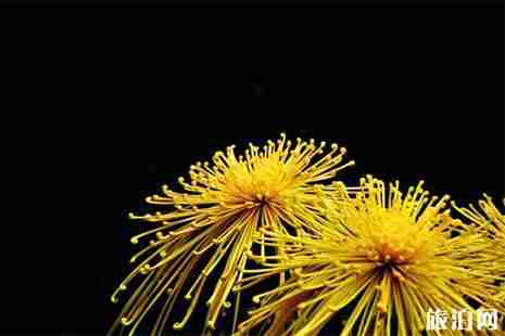 2019梧州清明扫墓公交线路+出行提示+停车攻略 2019梧州清明扫墓公交线路+出行提示+停车攻略